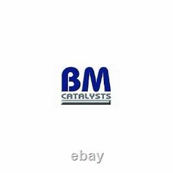 Genuine New BM Cats Approved DPF Diesel Particulate Filter BM11013H