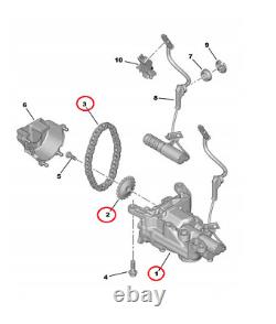 Oil Pump & Chain And Sprocket Kit Citroen Peugeot 1.6 Vti/thp (oe V764737680)