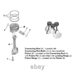 Piston Kit for Mini Cooper S Peugeot 207 308 3008 5008 1.6T N14B16 5FX 5FY 2006