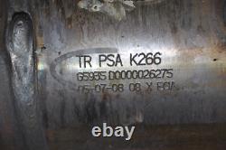 TR PSA K266 Citroën Mini Cooper Peugeot Kat catalyst