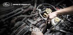 V-Ribbed Belt Set High Quality Fits Citroen Mini Peugeot GATES K036PK803